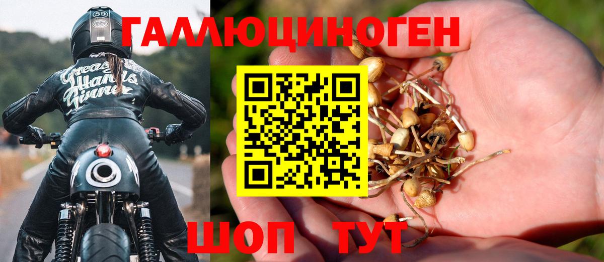 наркошоп  Вход с VPN  Чита  Псилоцибиновые грибы прущие грибы 